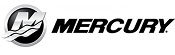 mercury